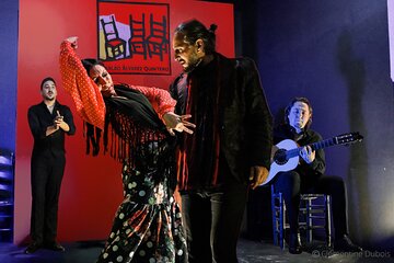 Flamenco Show at Tablao Alvarez Quintero in Seville