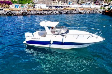 Capri Positano and Amalfi Ischia Private Boat Tour from Sorrento