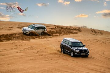  Dubai Desert Safari