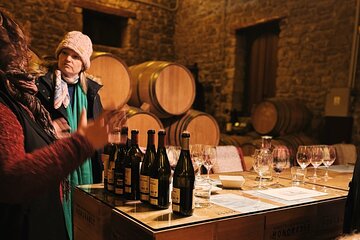 Private Rioja Wine Tour of Vines and Wines in Spain