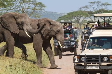 Six Day Kenya and Tanzania Masai Mara Serengeti Ngorongoro Tour