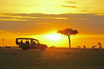 6 Day Affordable Group Camping 4x4 Safari(Mara,Nakuru & Amboseli)