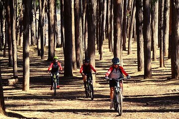 Cusco Bike Experience: Aventura por Sacsayhuamán y Tambomachay