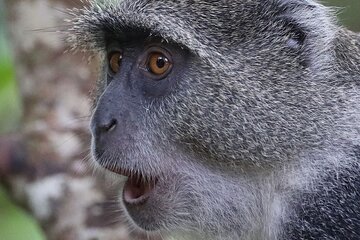 unforgettable Zanzibar experience for REGENT SEVEN SEAS CRUISES