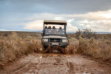 2-Day Inverdoorn Game Reserve Luxury Big Five Safari
