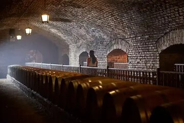 Wine Experience, Viña Concha y Toro Santiago-Customizable Tour