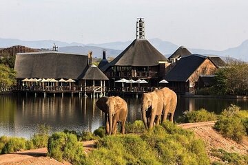 3-Day Safari Tour in the Western Cape South Africa