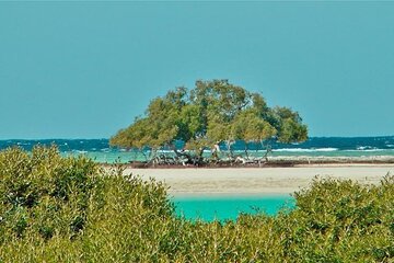 Hamata and Qulaan Islands Tour with Snorkeling