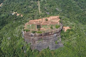 Kandy to Sigiriya Dambulla and Safari Private Day Tour