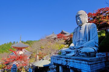 Autumn Leaves Buddha and Mt.Yoshino with Orange Picking Tour
