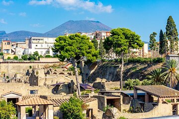 Herculaneum and Vesuvius Private Tour from Naples