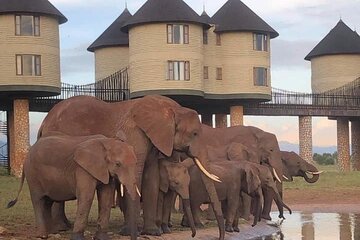 2 Day Safari in Taita Hills from Nairobi