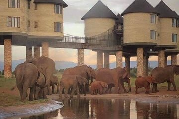 3 Days Tsavo East Tour and Saltlick Safari From Nairobi