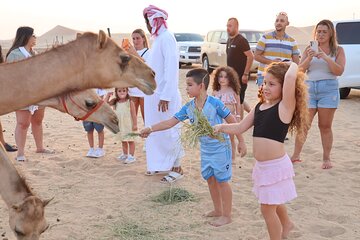  Dubai Red Dunes ATV Camels Stargazing and 5 Star BBQ Noble Camp