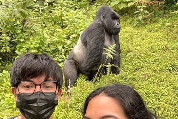 One Day Rwanda Gorilla Trekking Adventure