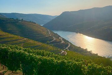 Full Day Private Tour Valle del Duero from Porto