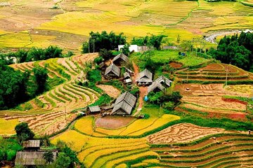  2 days 1 night Sapa trekking group tour at homestay