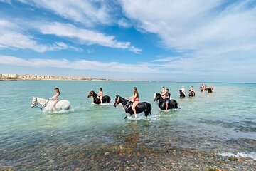 Hurghada 2 Hours Horseback or Camel Riding in Desert and Sea