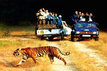 2 - Days: Jim Corbett jungle safari tour from Hyderabad by Flight