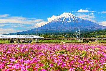 Mt. Fuji to Lake Kawaguchi, Lake Yamanaka and Onsen Day Tour