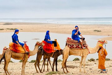 Camel Tour : 2 hours camel ride in Agadir