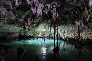 Private Tour to Tulum Cenotes Sac Actun 