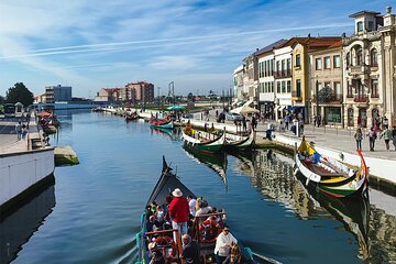 Porto-Lisbon or Lisbon-Porto Private Tour with 3 Cultural Stops 
