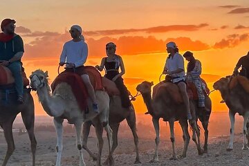 Marrakech: Agafay Desert Sunset, Camel Ride, and Dinner Show.