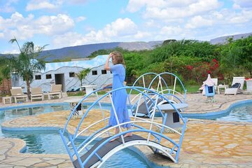 Discover Our Best 2-Day Tanzania Budget Group Lodge Safari Tour