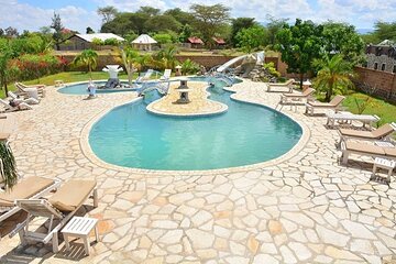 Discover World's Best 3 day Tanzania Group Budget Lodge Safari 