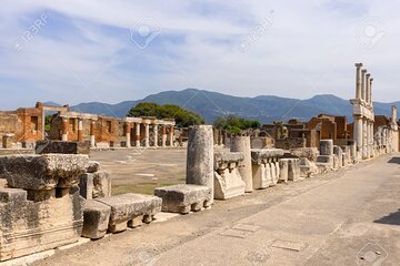 Pompeii Private Tour with Tickets and Wine Tasting Lunch 