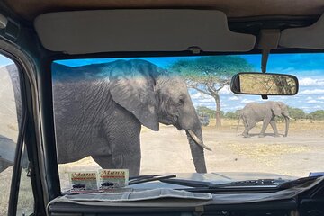 5-Day Private Safari in Northern Tanzania, Departure from Arusha 