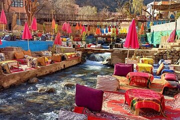 Marrakech: Atlas Mountains Ourika Valley, Waterfalls Hike & Lunch