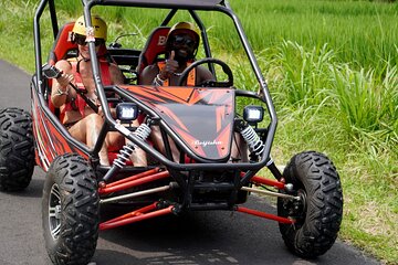 Bali Buggy and Ubud Tour Packages