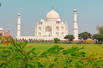 Sunrise Taj Mahal Agra Fort and Baby Taj Tour from Delhi