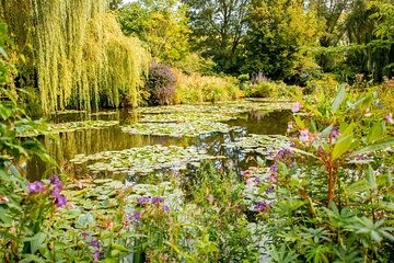 Giverny And Monets Gardens Private Tour from Paris