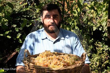 Kakheti Wine Tour - Explore the Art of Kvevri Winemaking