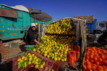 Discover traditional weekly market at the outskirts of Marrakesh