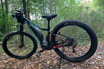 Kyoto E-Bike Rent (Powerful & Long model)