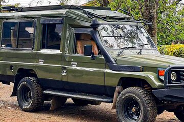 The Most Affordable 4 Days Tanzania Budget Lodge Group Safari