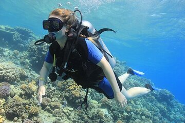 Beach Scuba Diving Experience in Sharm El Sheikh 