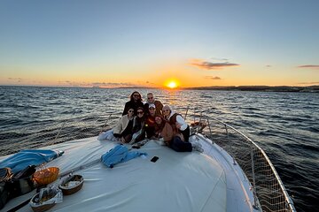2-hour dolphin watching excursion/drink and snacks