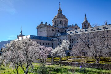 VIP PRIVATE: EL Escorial Monastery and Palace. Tickets included