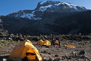 Kilimanjaro Full Day Trek Through Machame Route