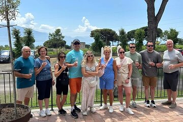 Private Pompeii, Sorrento & Mozzarella Making Tour from Naples