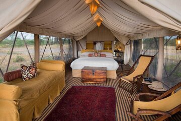 Discover The World's Top Best 4-day Tanzania Group Camping safari