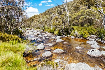 Snowy Mountains NSW Private Tour 3 Days - Pick up & Drop off