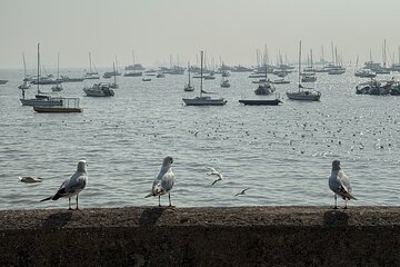 A Symphony of Seven Islands - Discover Mumbai's story in One Day