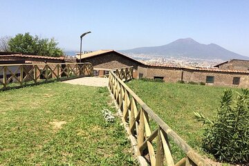 Stabia Villas & Oplonti & Museum Quisisana With Lunch Break