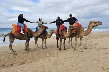 VIP Tangier Private Tour From The Cruise Ship